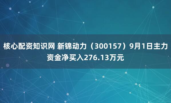 核心配资知识网 新锦动力（300157）9月1日主力资金净买入276.13万元